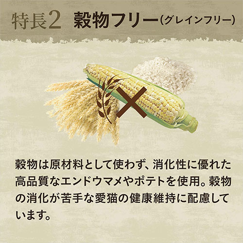 ニュートロ　キャット　ワイルド レシピ　アダルト　白身魚　成猫用　2kg　＋　デイリー ディッシュ　アダルト　パウチ　おまけ付【HLS_DU】　関東当日便