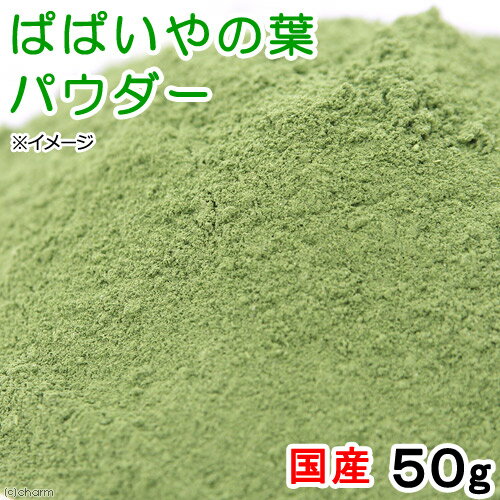 国産 パパイヤの葉パウダー 50g×2袋+ふり...の紹介画像2