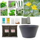 (ビオトープ)水生植物 ビオトープレイアウトセット アサザ+水生植物3種 あぜなみ付 本州四国限定 お一人様1点限り