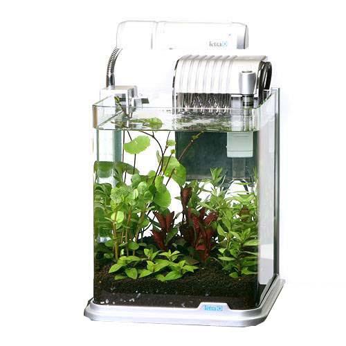 楽天市場 水草 テトラ Rg le おまかせ水草レイアウト水槽セット 本州四国限定 Charm 楽天市場店 みんなのレビュー 口コミ 楽天市場 水草 テトラ Rg le おまかせ水草レイアウト水槽セット 本州四国限定 Charm 楽天市場店 みんなのレビュー 口コミ