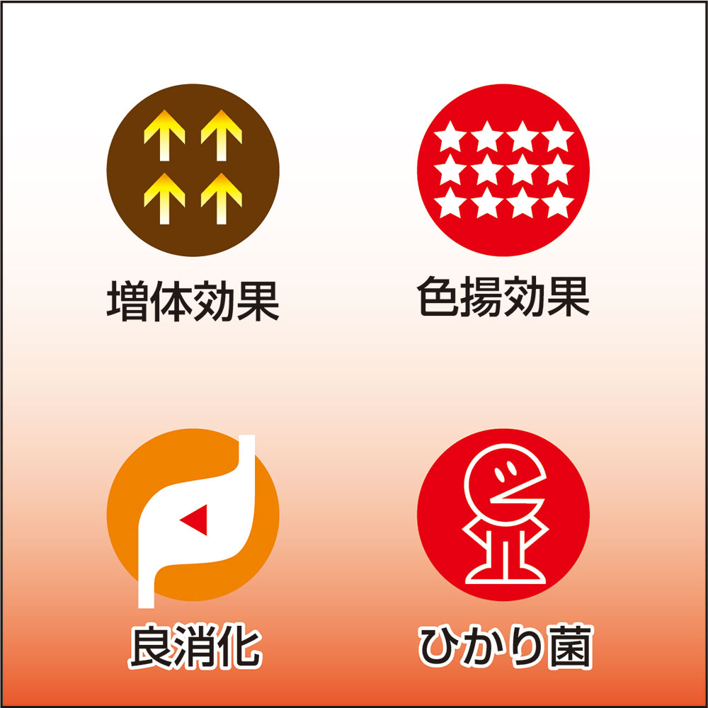 ��󤻾��ʡ����硼��󡡺�Ҥ��������õ鿧�ȡ���塡M��15kg���Ӹ񡡱¡���������α�