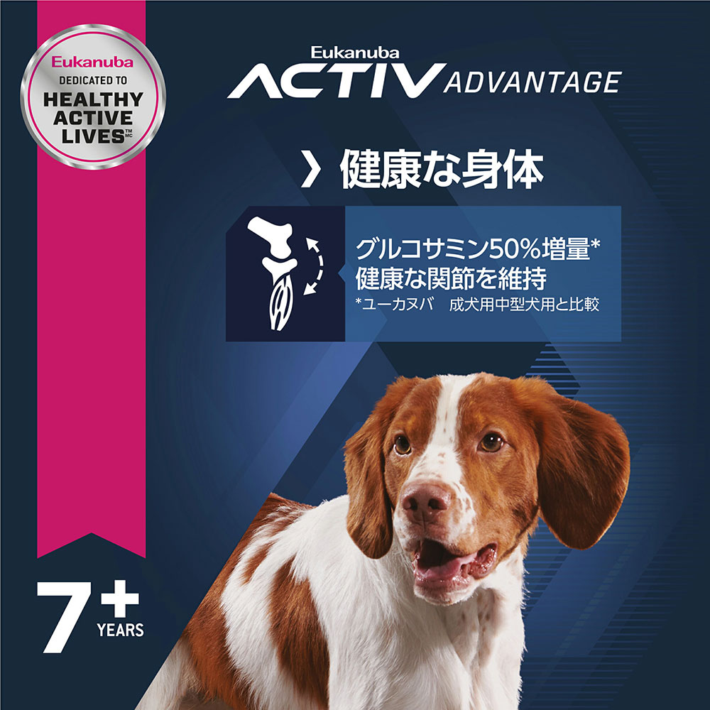サンプル画像2