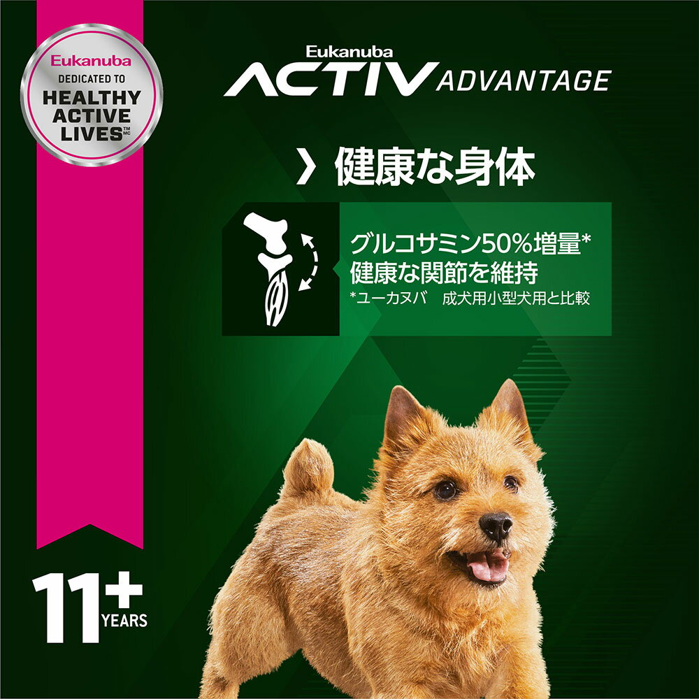 サンプル画像2