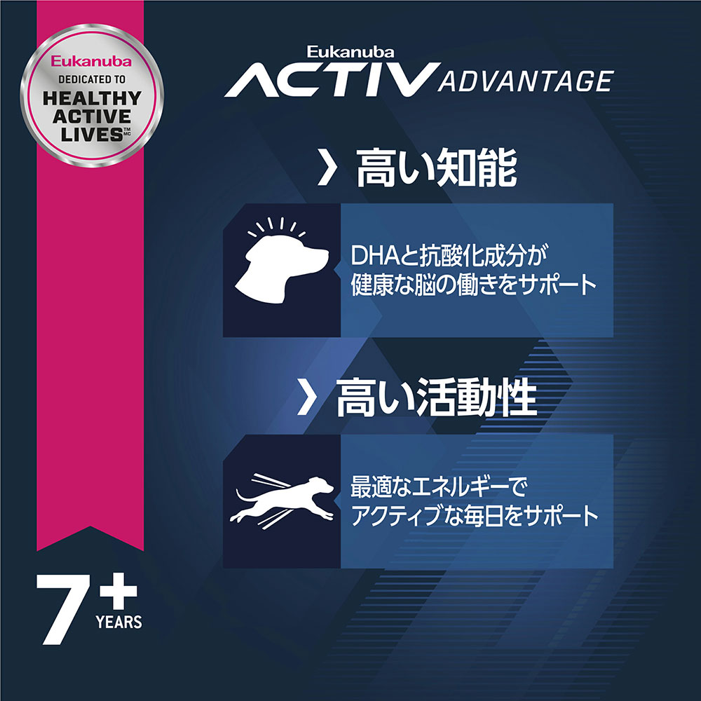 サンプル画像3