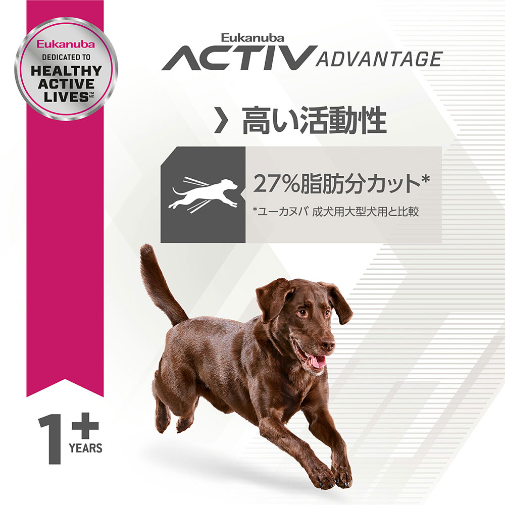 サンプル画像2