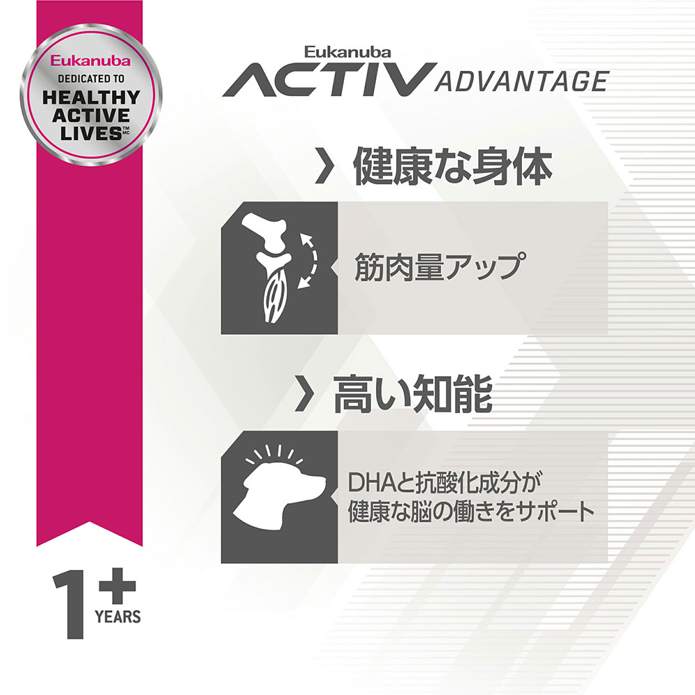 サンプル画像3