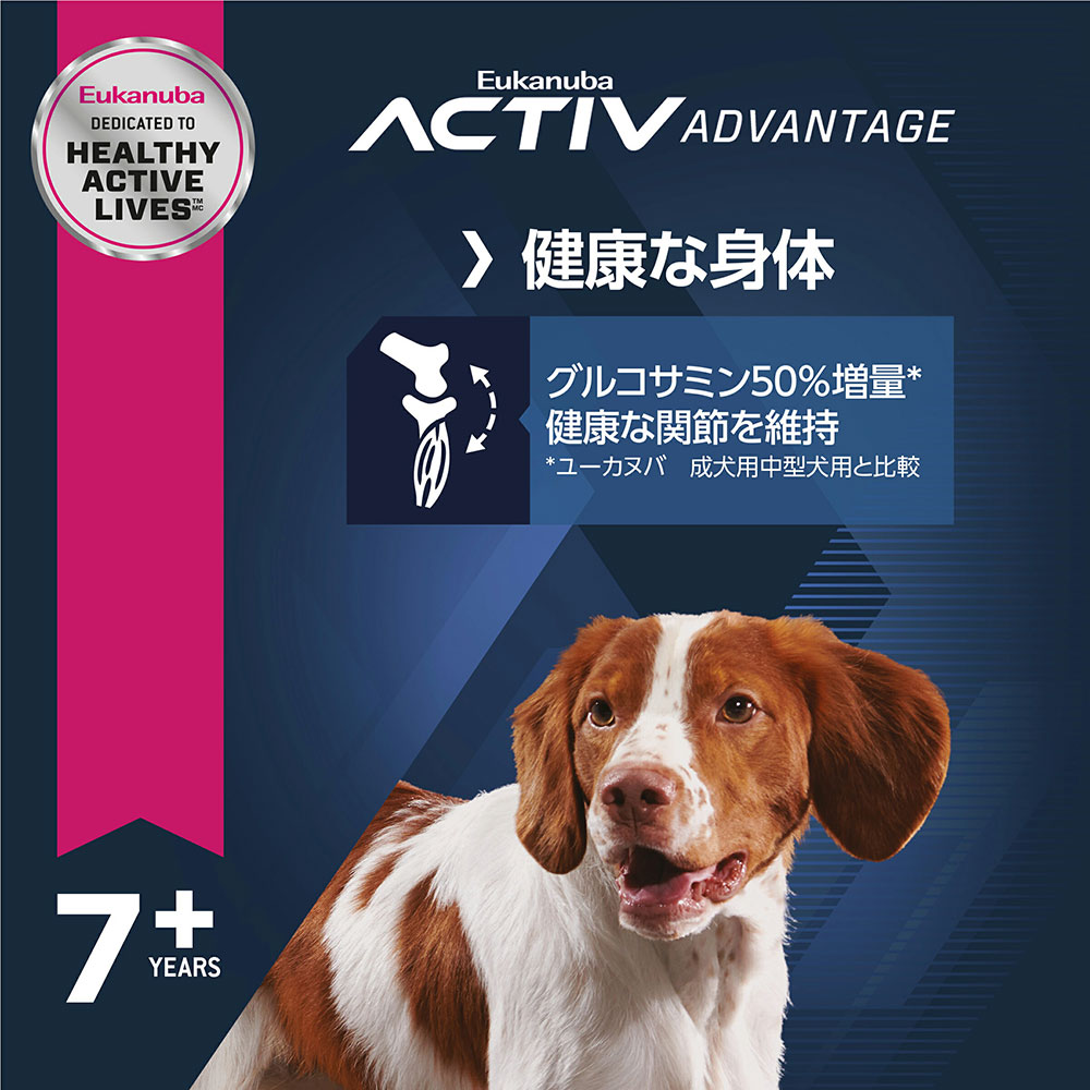 サンプル画像2
