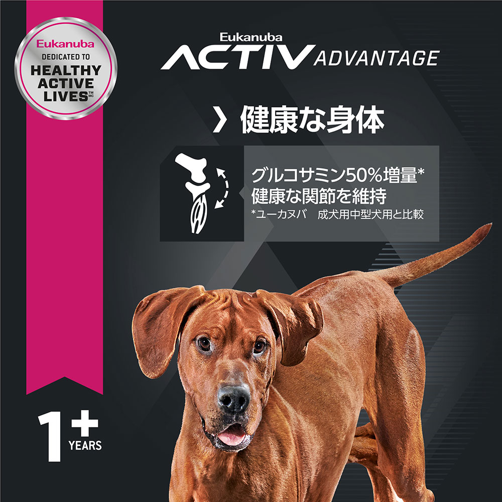 サンプル画像2