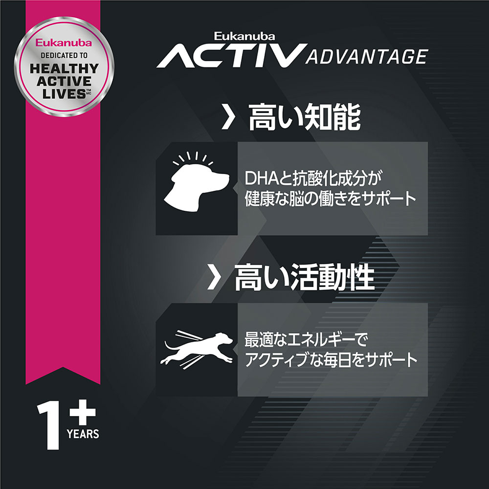 サンプル画像3