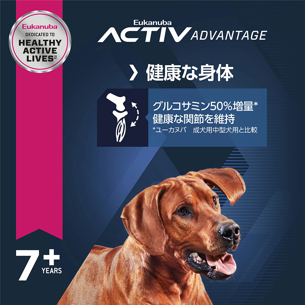 サンプル画像2