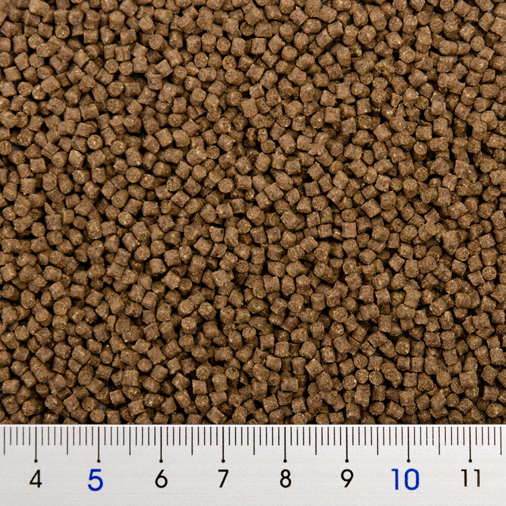 三晃商会　オカヤドカリフード　30g　関東当日便