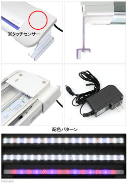 ニッソー LED ライナー600 シルバー 60cm水槽用照明 ライト 熱帯魚 水草 アクアリウムライト 関東当日便