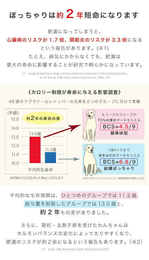サンプル画像3