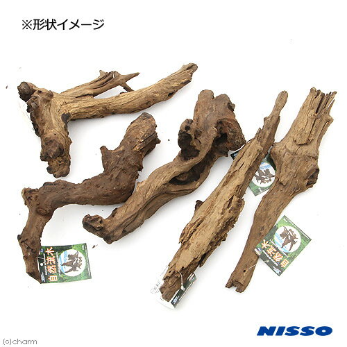 ������Ǥ��������ή�ڡ��������30��50cm�ˡ�1�ܡ��������1���¤ꡡ�������ꥦ�ࡡ���塡����������