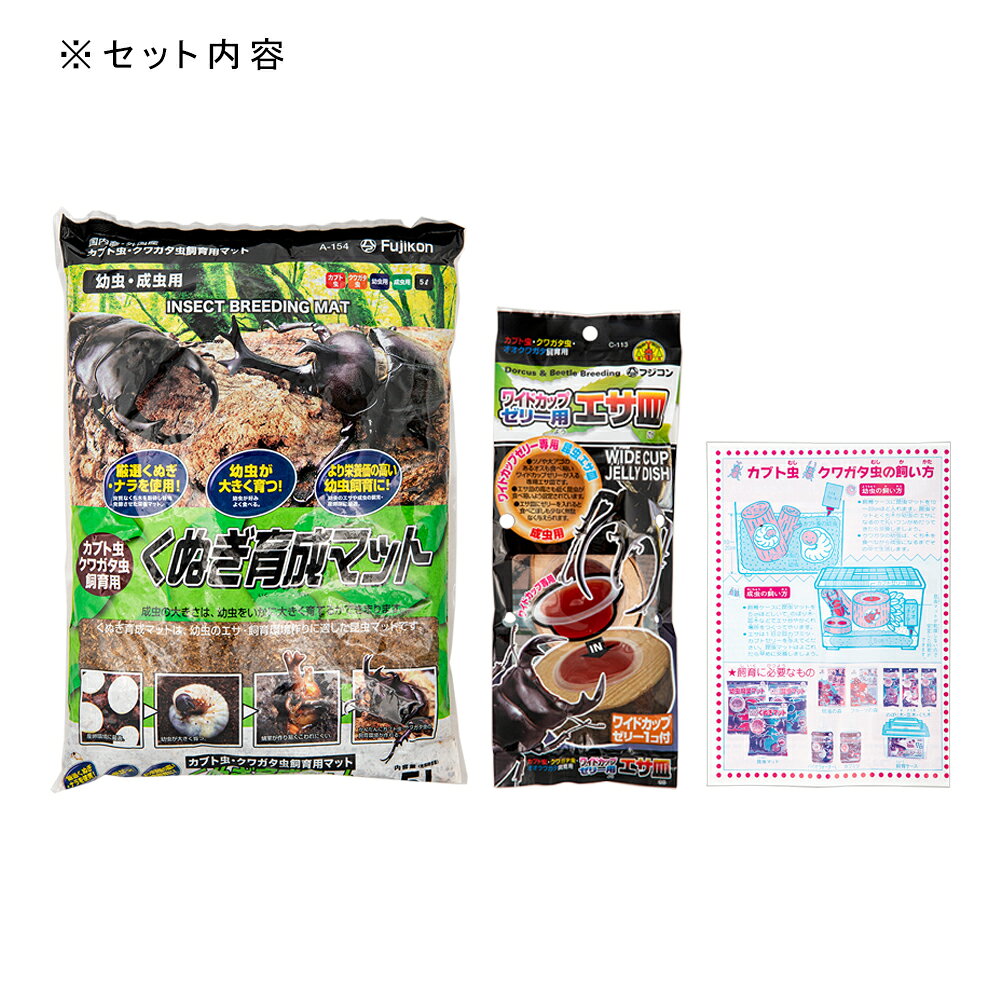 フジコン　カブト・クワガタ飼育セット（M）　関東当日便