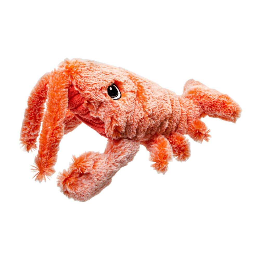 貝沼 ダンシングフィッシュ ロブスター 関東当日便