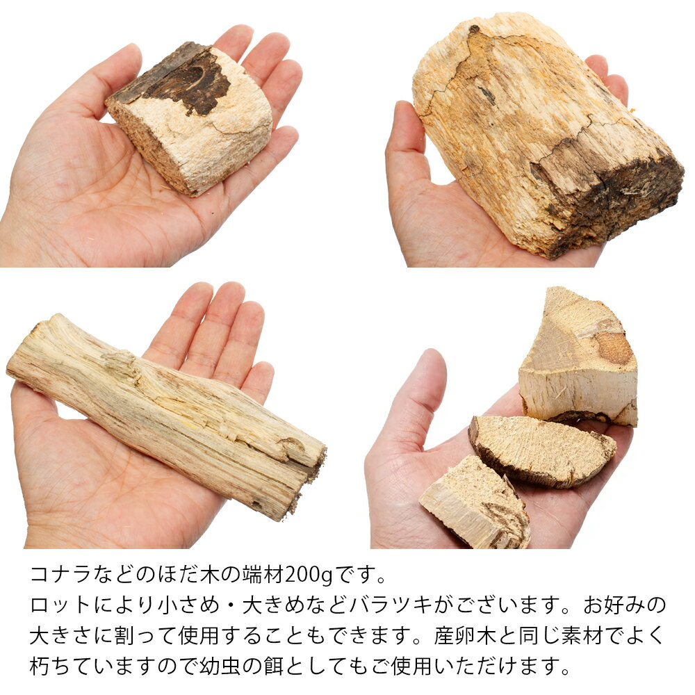 昆虫がしがみつける足場木 バラ 200g入り ...の紹介画像2