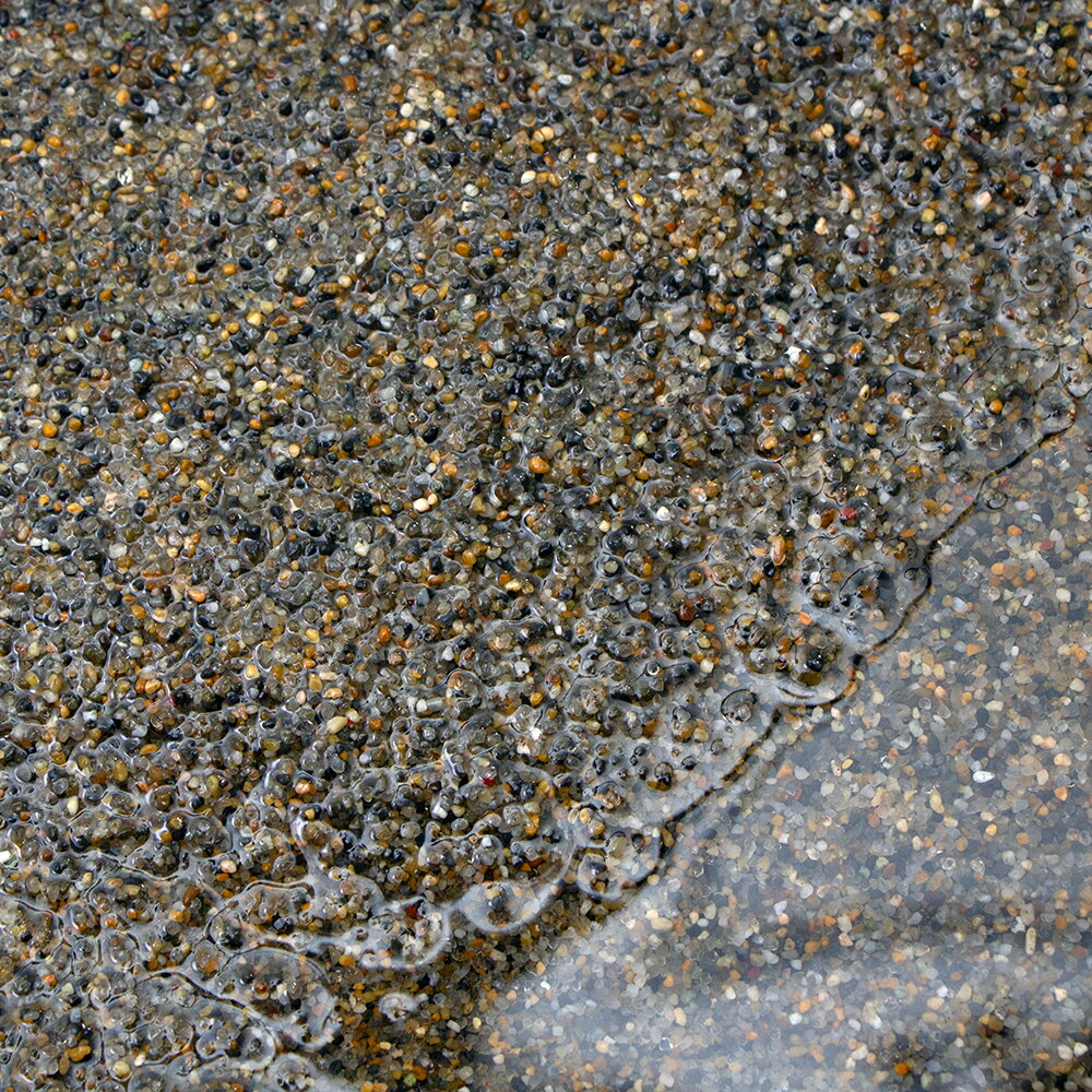 底砂 No.111 湧水の砂 プレミアム 7リットル Spring Water 60cm水槽用 底床 水槽 お一人様2点限り 関東当日便