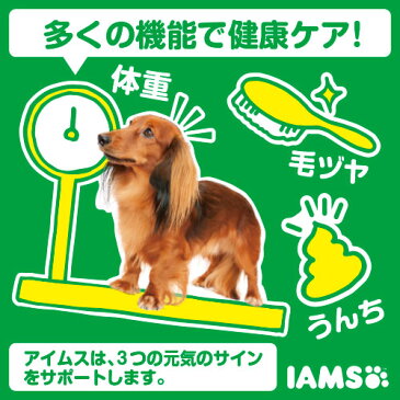 アイムス　12か月までの子いぬ用　チキン　小粒　5kg　ドッグフード 正規品　IAMS　お一人様4点限り　関東当日便