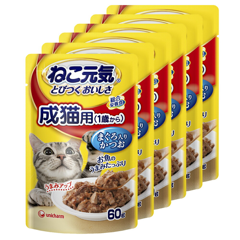 ねこ元気 総合栄養食 パウチ 成猫用 1歳から まぐろ入りかつお 60g 6袋 キャットフード【HLS_DU】 関東当日便