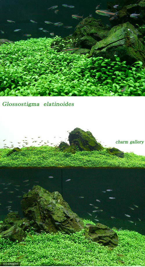 thum3