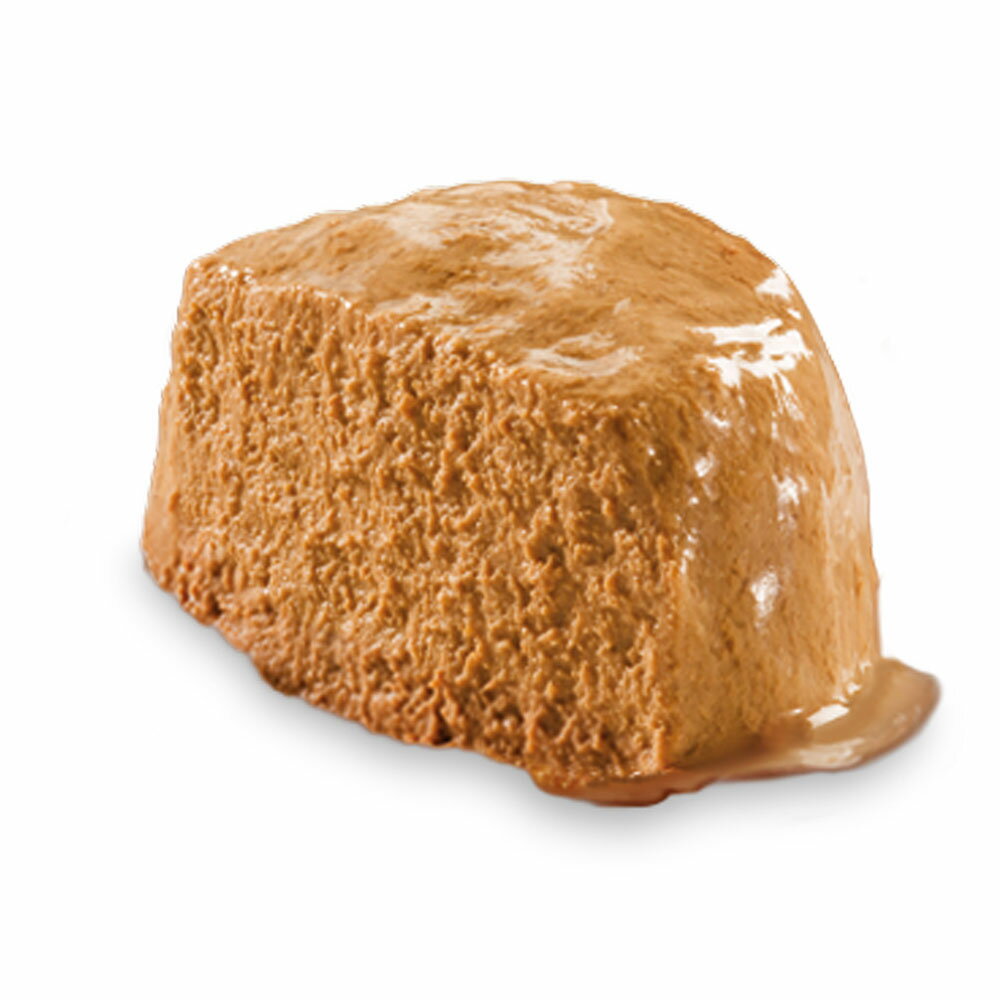 【抽選企画対象】ミニバッグおまけ付　ニュートロ　キャット デイリー ディッシュ　成猫以上用　チキン　グルメ仕立てのパテタイプ　トレイ　75g×24個【HLS_DU】　関東当日便