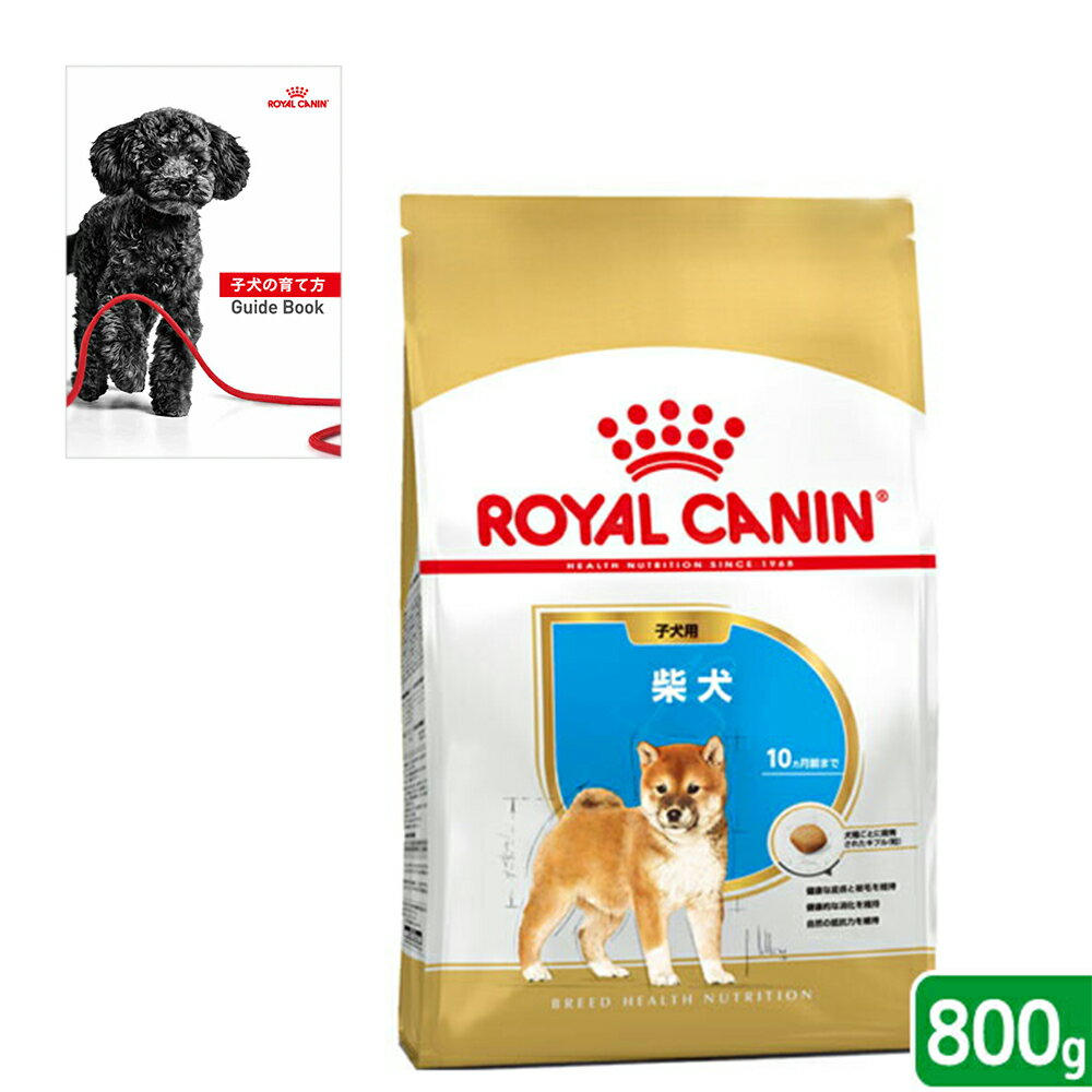 ロイヤルカナン　柴犬　子犬用　800g　ジップ付　＋　子犬の育て方ガイドブック　関東当日便