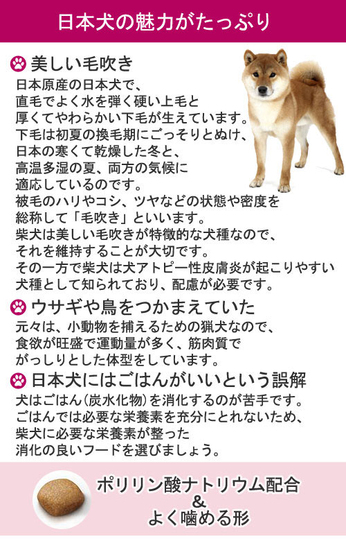 ロイヤルカナン　柴犬　子犬用　800g　ジップ付　＋　子犬の育て方ガイドブック　関東当日便