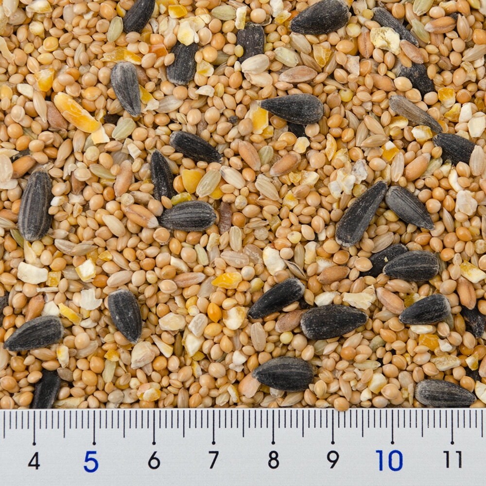 NPF エクセル 野鳥のまき餌 小型 1.6kg RIUM