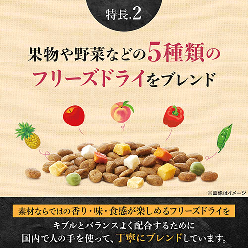 サンプル画像3
