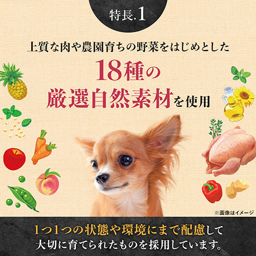 サンプル画像2