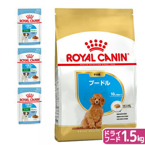 Royal Canin - 【送料無料】ロイヤルカナン　生後10カ月齢までの子犬　ウェット3袋＋プードル　子犬用　1．5kg　ジップ付　お一人様1点限り　関東当日便