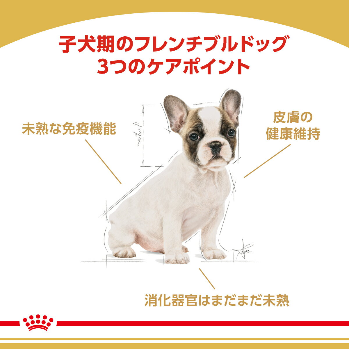 【送料無料】ロイヤルカナン　生後10カ月齢までの子犬　ウェット3袋　＋　フレンチブルドッグ　子犬用　3kg　ジップ付【HLS_DU】　関東当日便