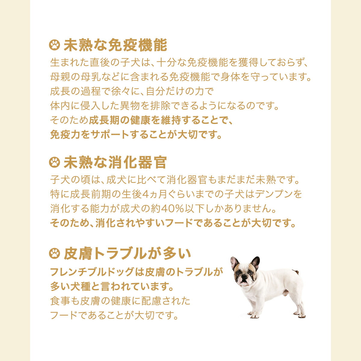 【送料無料】ロイヤルカナン　生後10カ月齢までの子犬　ウェット3袋　＋　フレンチブルドッグ　子犬用　3kg　ジップ付【HLS_DU】　関東当日便