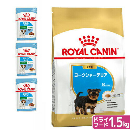 【送料無料】ロイヤルカナン　生後10カ月齢までの子犬　ウェット3袋　＋　ヨークシャーテリア　子犬　1．5kg　ジップ付【HLS_DU】　関東当日便