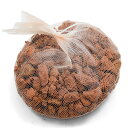 クラッシュストーン ブラウン 1kg 観葉植物 マルチング材 関東当日便