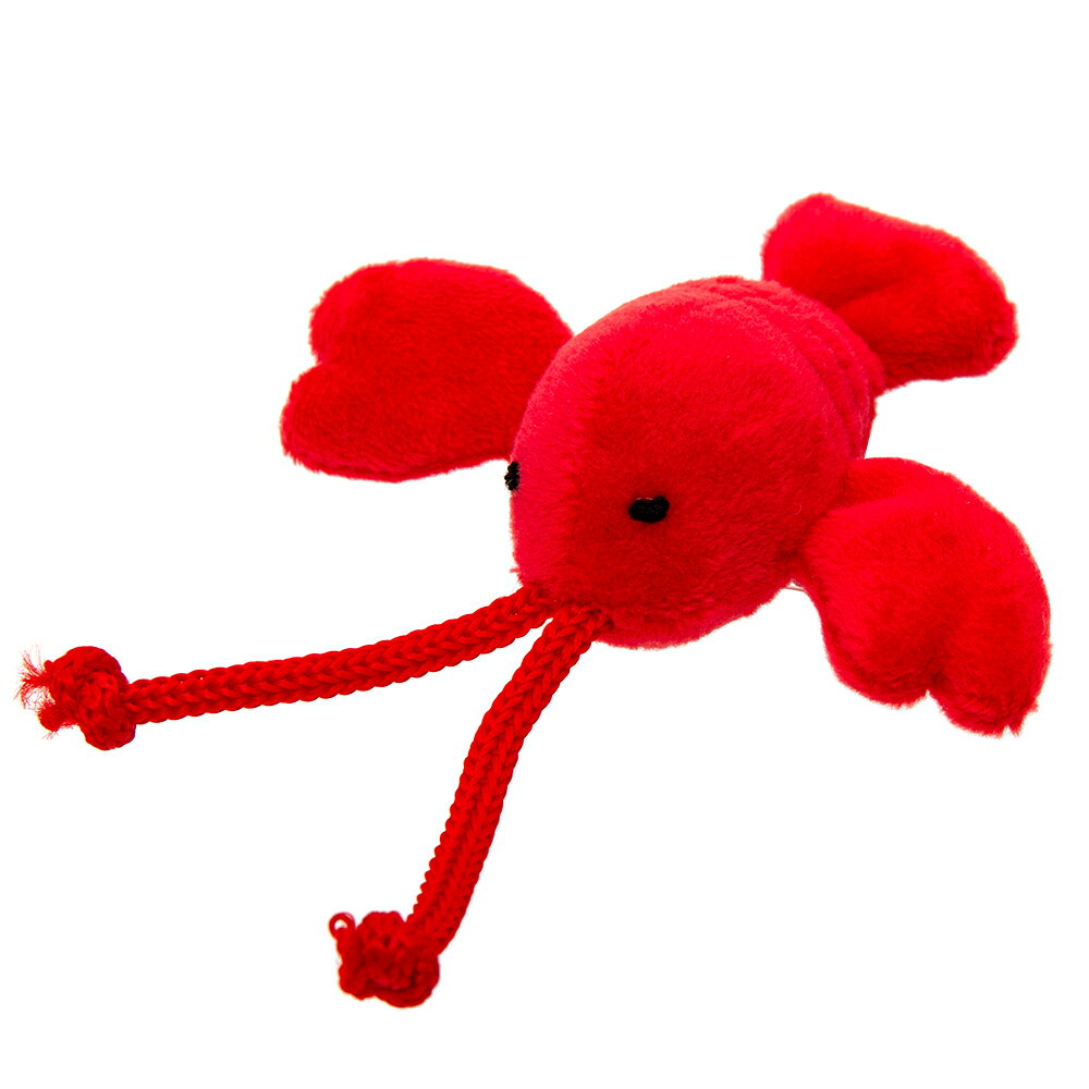 レインボー　レインボートイ　ロブスター　おもちゃ　フェレット　関東当日便