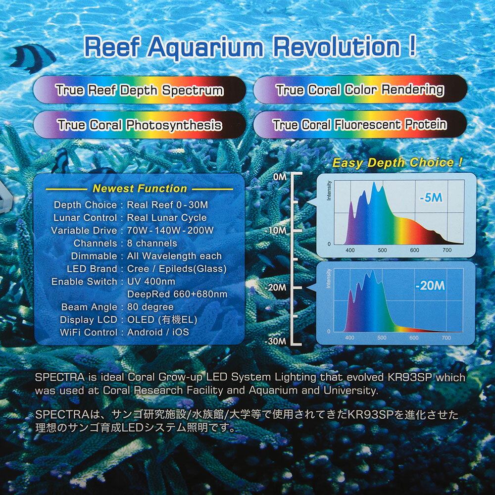 SPECTRA��SP200�ʥ��ڥ��ȥ�ˡ��֥�å�������������