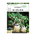 NHK趣味の園芸 12か月栽培ナビNEO 多肉植物 コーデックス【HLS_DU】 関東当日便