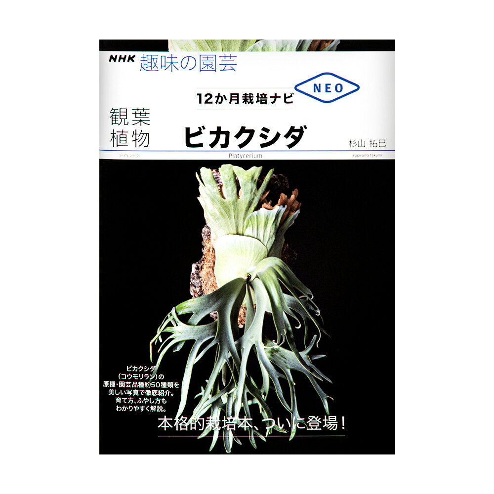 NHK趣味の園芸　12か月栽培ナビNEO　観葉植物　ビカクシダ【HLS_DU】　関東当日便