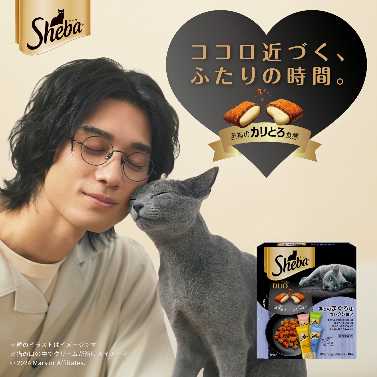サンプル画像2