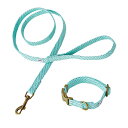 ペティオ 犬用 フラッシュソフトカラー&リードセット S ブルー 関東当日便