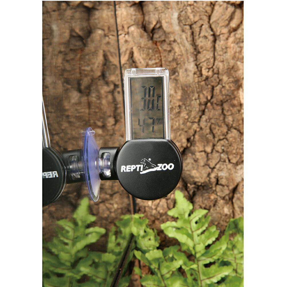 ��������REPTIZOO��3�����֥ǥ����벹���ٷס�BK���֥�å�������ࡡξ���ࡡ�ƥ�ꥦ�ࡡ����������