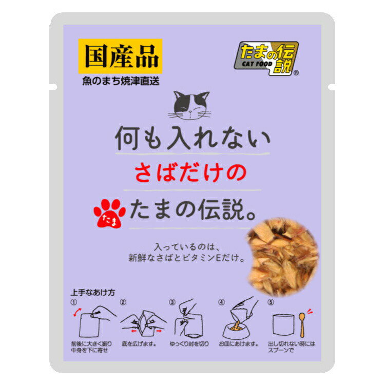 何も入れないさばだけのたまの伝説　35g　パウチ【HLS_DU】　関東当日便