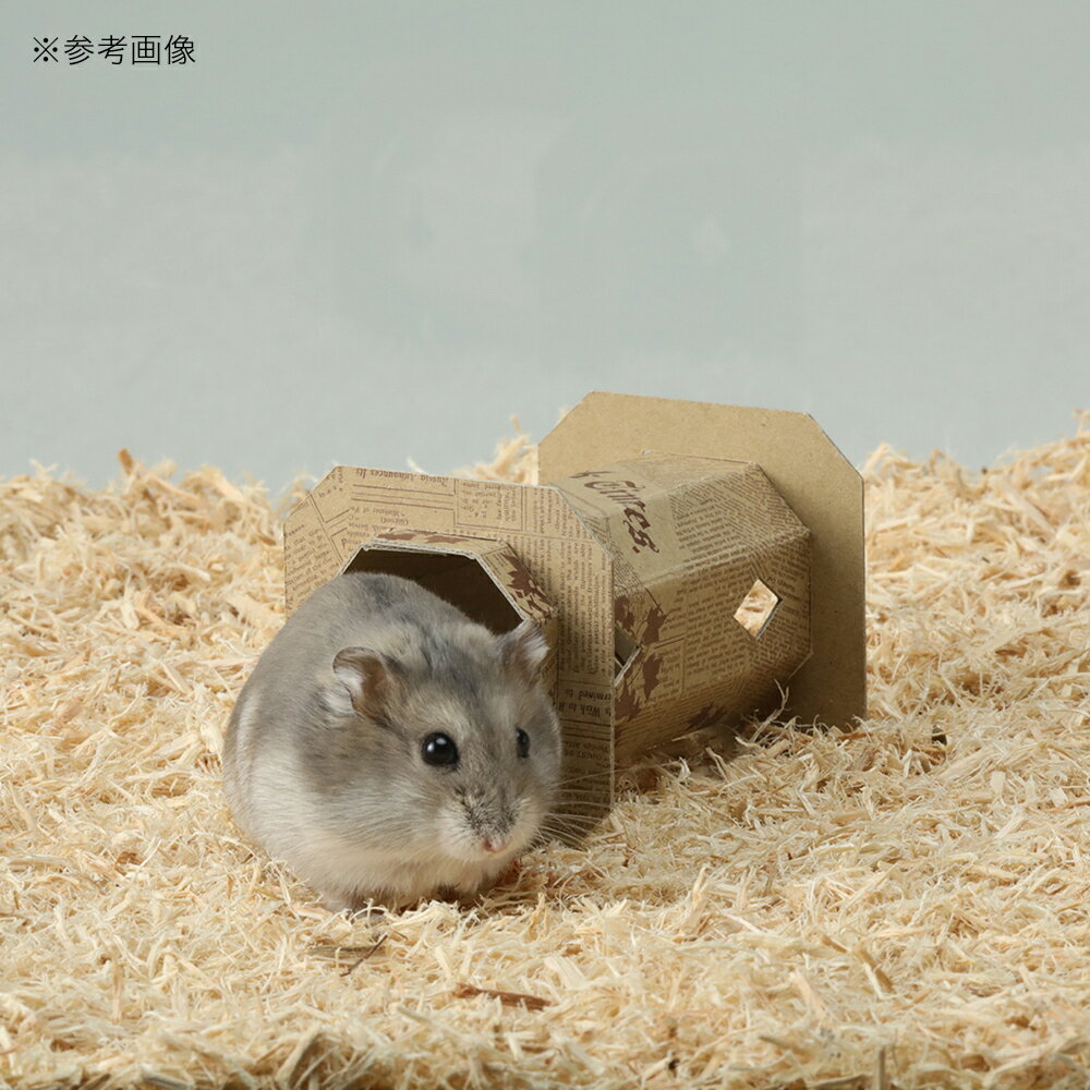 ���ɡ�������եȥȥ�ͥ롡S���ϥॹ�������ϥ���������������