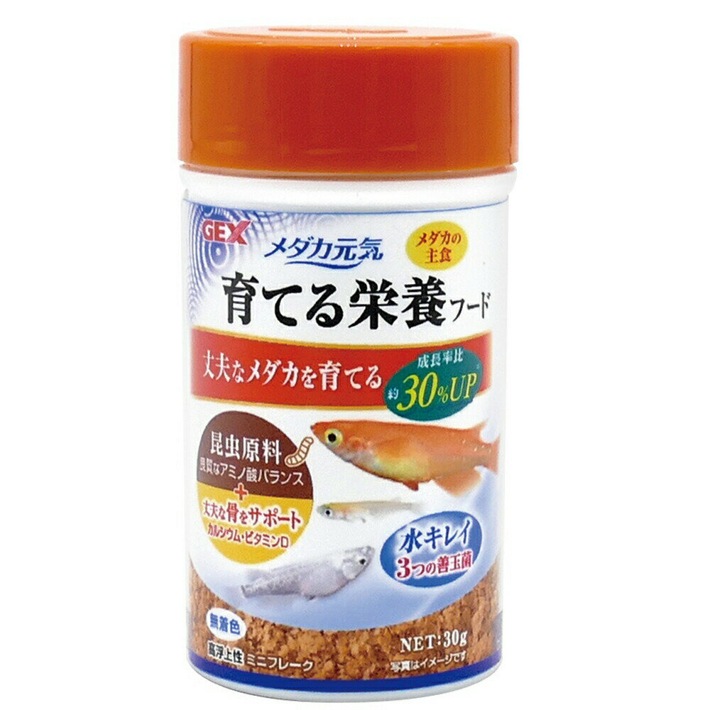 GEX メダカ元気 育てる栄養フード 30g