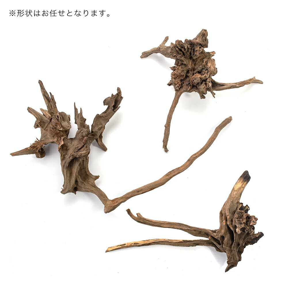 ���ߥϥ���������Ǥ����������ɥ��åɡ�M���������ꥦ�ࡡ�ƥ�ꥦ�ࡡ�ѥ���ꥦ�ࡡ�쥤�����ȡ�����������