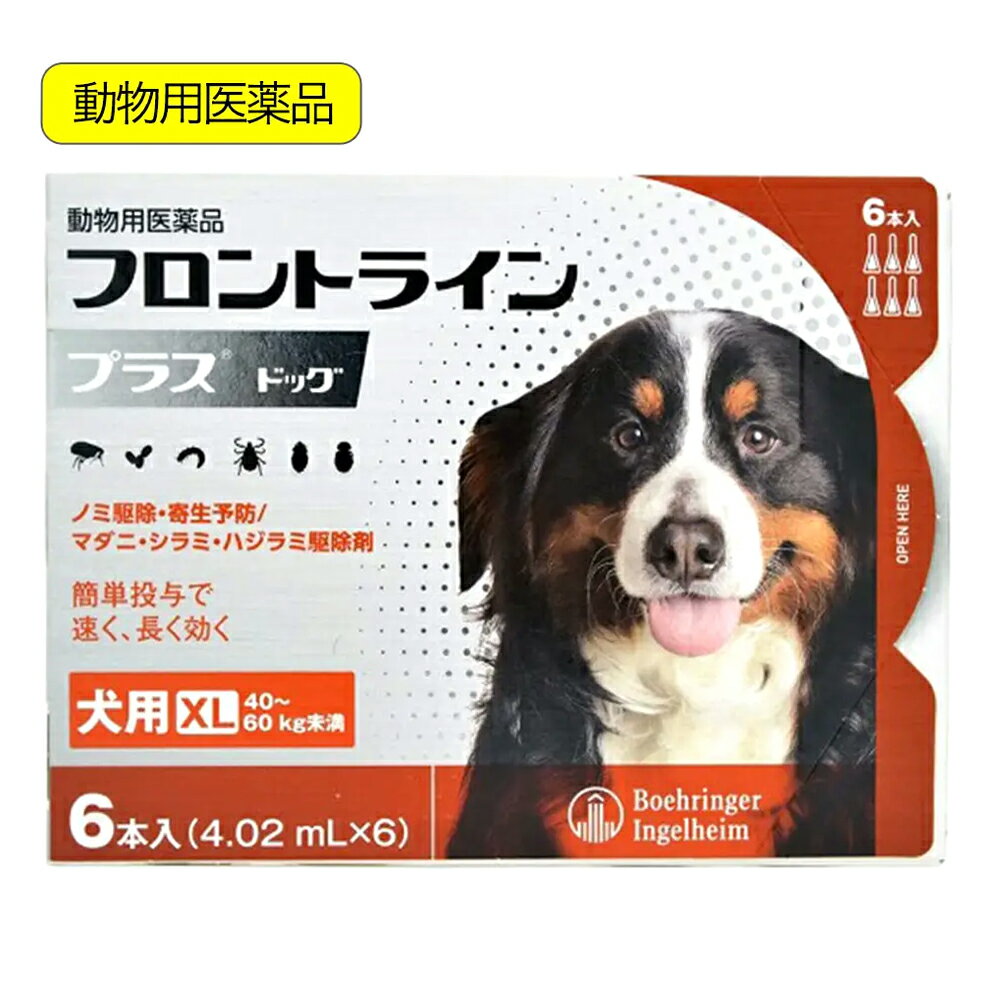 動物用医薬品 フロントラインプラス ドッグ XL 6本 動物用医薬品【HLS_DU】 関東当日便