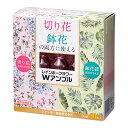 アウトレット品 レインボー フラワーWアンプル 30ml×10本 活力材 切り花や鉢花に 訳あり 関東当日便