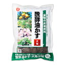 東商 発酵油かす 大粒 500g 果樹・庭木・花木などの大きな鉢物の追肥に 関東当日便